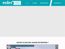 Tablet Screenshot of esdesjuniorconseil.com